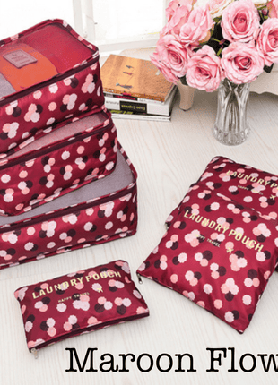 6 Piece Travel Organizer