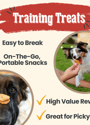 Chicken Chips for Dogs | All-Natural Single-Ingredient Dog Treats