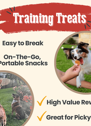 Chicken Chips for Dogs | All-Natural Single-Ingredient Dog Treats