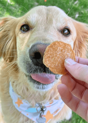 Chicken Chips for Dogs | All-Natural Single-Ingredient Dog Treats