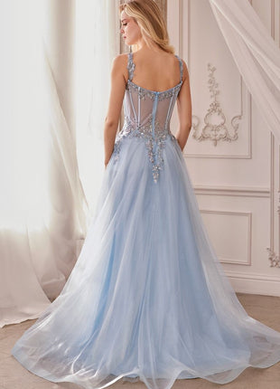Embellished A-Line Tulle Ball Gown